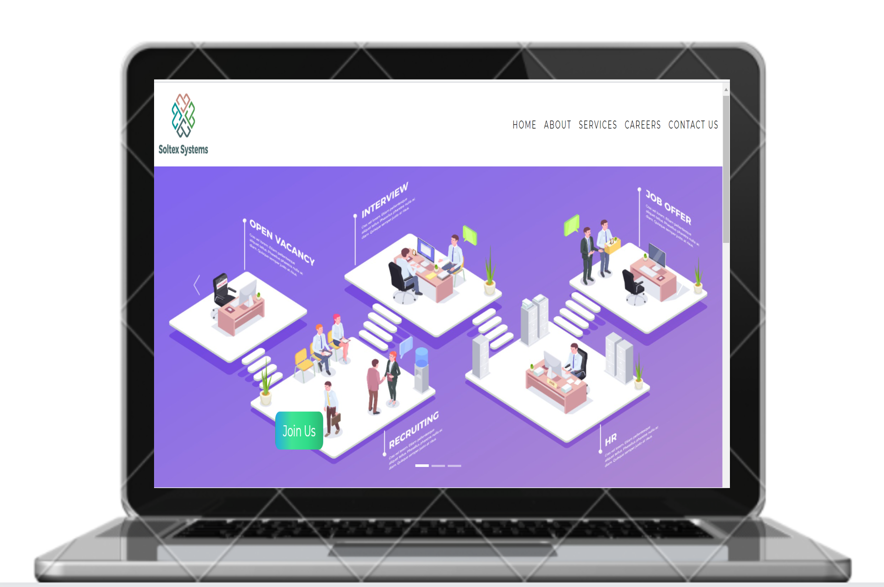 Soltex Systems Website